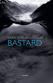 Bastard av Lars Ove Seljestad (Innbundet)