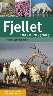 Fjellet av Honoria S. Bjerknes Hamre (Fleksibind)