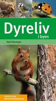 Dyreliv i byen av Kjetil Bevanger (Fleksibind)