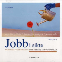 Jobb i sikte. Lærar-cd. Nynorsk (2006) av Ingebjørg Dolve (Lydbok-CD)