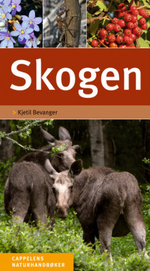 Skogen av Kjetil Bevanger (Fleksibind)