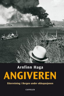 Angiveren av Arnfinn Haga (Innbundet)