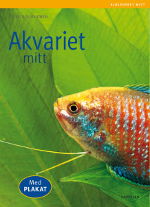 Akvariet mitt av Ulrich Schliewen (Heftet)