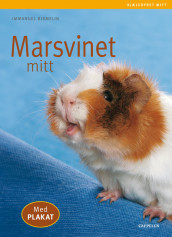 Marsvinet mitt av Immanuel Birmelin (Heftet)