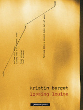 loosing louise av Kristin Berget (Heftet)