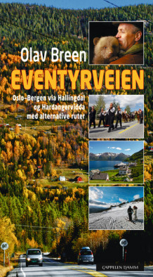 Eventyrveien av Olav Breen (Fleksibind)