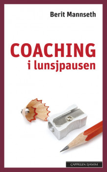 Coaching i lunsjpausen av Berit Mannseth (Heftet)