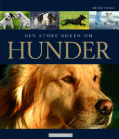 Den store boken om hunder av Bruce Fogle (Innbundet)