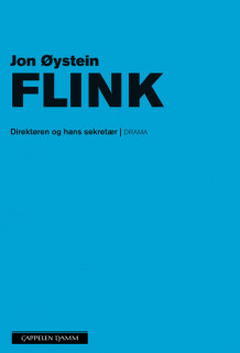 Direktøren og hans sekretær av Jon Øystein Flink (Heftet)