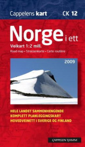 Norge i ett 2009 (Kart, falset)