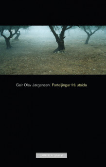 Forteljingar frå utsida av Geir Olav Jørgensen (Innbundet)