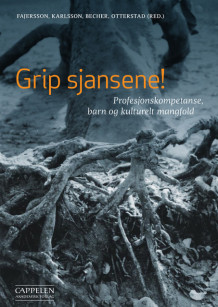 Grip sjansene! av Aslaug Andreassen Becher (Heftet)