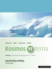 Kosmos YF tema Berekraftig utvikling (2009) av Siri Halvorsen (Heftet)