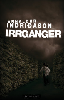 Irrganger av Arnaldur Indridason (Innbundet)