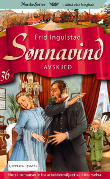 Avskjed av Frid Ingulstad (Heftet)