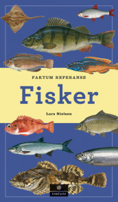 Fisker av Lars Nielsen (Innbundet)