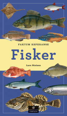 Fisker av Lars Nielsen (Innbundet)