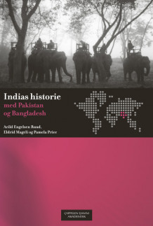 Indias historie med Pakistan og Bangladesh av Eldrid Mageli, Pamela Gwynne Price og Arild Engelsen Ruud (Heftet)