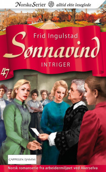 Intriger av Frid Ingulstad (Heftet)