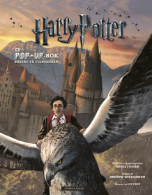 Harry Potter Pop up-bok (Innbundet)