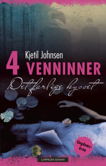 4 Venninner 2: Det farlige kysset av Kjetil Johnsen (Innbundet)