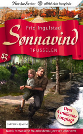 Trusselen av Frid Ingulstad (Ebok)