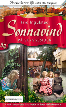 På skyggesiden av Frid Ingulstad (Ebok)