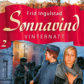 Vinternatt av Frid Ingulstad (Nedlastbar lydbok)