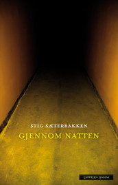 Gjennom natten av Stig Sæterbakken (Ebok)