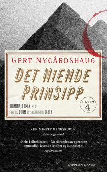 Det niende prinsipp av Gert Nygårdshaug (Heftet)