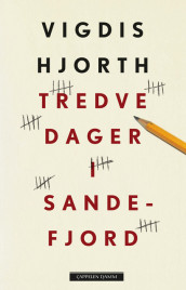 Tredve dager i Sandefjord av Vigdis Hjorth (Ebok)