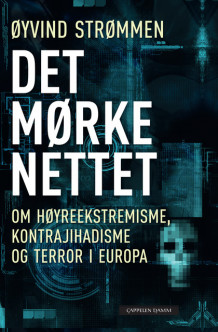 Det mørke nettet av Øyvind Strømmen (Ebok)