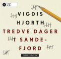 Omslag - Tredve dager i Sandefjord