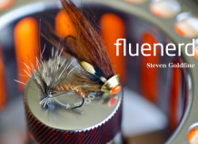 Fluenerd av Steven Goldfine (Innbundet)