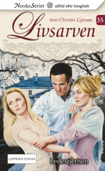 Ledestjernen - GAMMEL av Ann-Christin Gjersøe (Heftet)