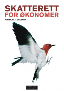 Skatterett for økonomer av Arthur J. Brudvik (Heftet)