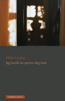 Jeg burde ha sperret deg inne av Hilde Lindset (Ebok)