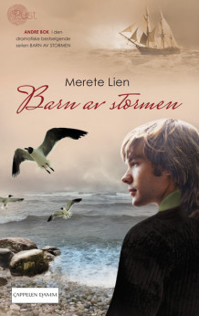 Barn av stormen 2 av Merete Lien (Heftet)