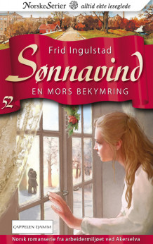 En mors bekymring av Frid Ingulstad (Ebok)