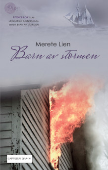 Barn av stormen 8 av Merete Lien (Heftet)