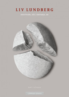 steinhode, slå / steinøye, se av Liv Lundberg (Heftet)
