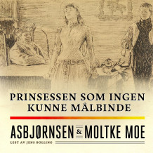 Prinsessen som ingen kunne målbinde av Peter Christen Asbjørnsen og Moltke Moe (Nedlastbar lydbok)