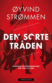 Den sorte tråden av Øyvind Strømmen (Ebok)