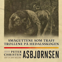 Småguttene som traff trollene på Hedalsskogen av Peter Christen Asbjørnsen (Nedlastbar lydbok)