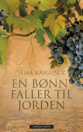 En bønn faller til jorden av Sema Kaygusuz (Ebok)