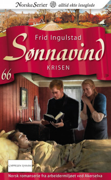 Krisen av Frid Ingulstad (Heftet)