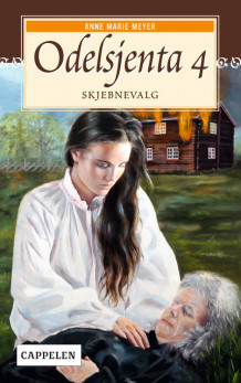 Skjebnevalg av Anne Marie Meyer (Ebok)