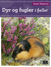 Omslag - Dyr og fugler i fjellet