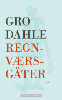 Regnværsgåter av Gro Dahle (Heftet)