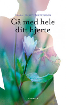 Gå med hele ditt hjerte av Klara Høiseth Slettemoen (Ebok)